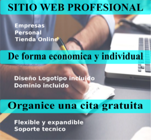Sitio Web Profesional