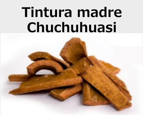 Chuchuhuasi