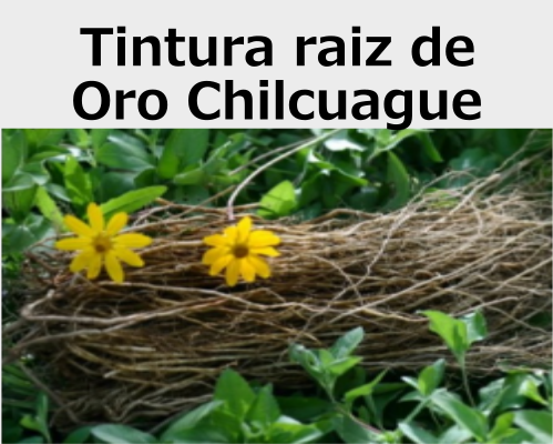 Oro Chilcuague